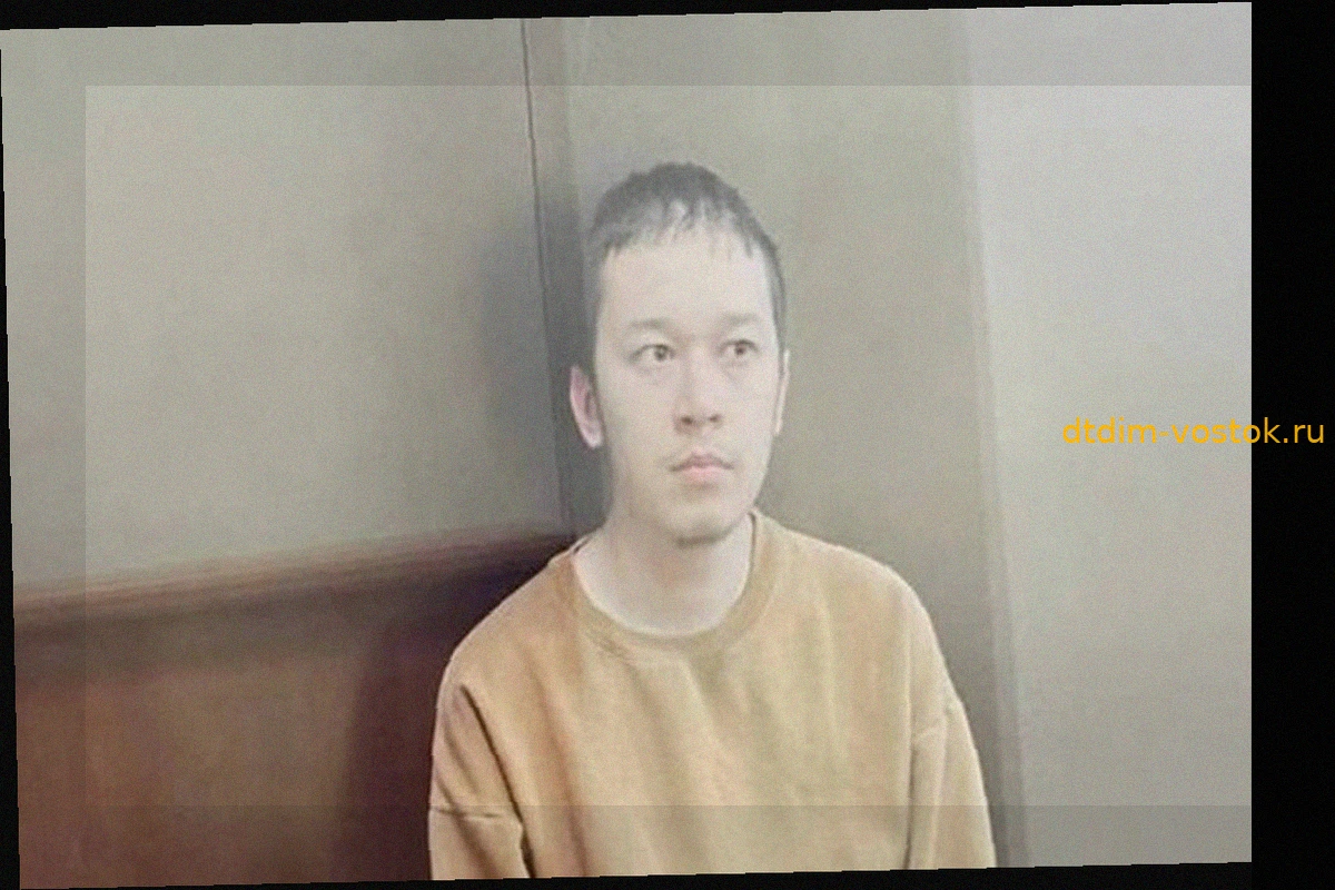 Арестован подозреваемый в нападении с ножом на семилетнюю девочку в Подмосковье