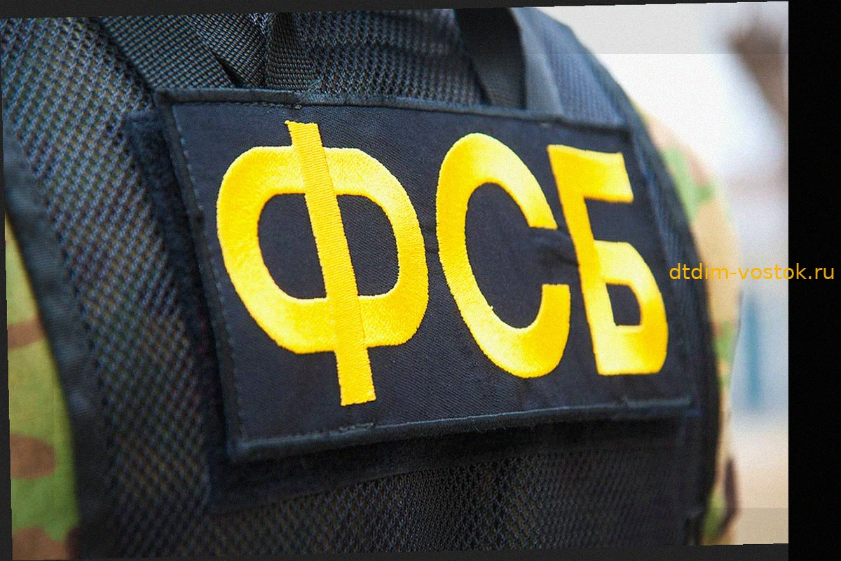 ФСБ: ВСУ оставили под Красноармейском схрон для диверсий