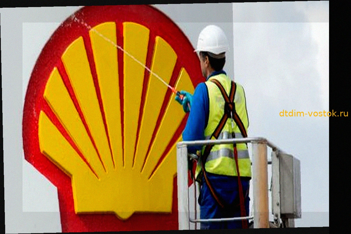 Неожиданная скидка: Дизель подешевел на АЗС Shell из-за ценового сбоя