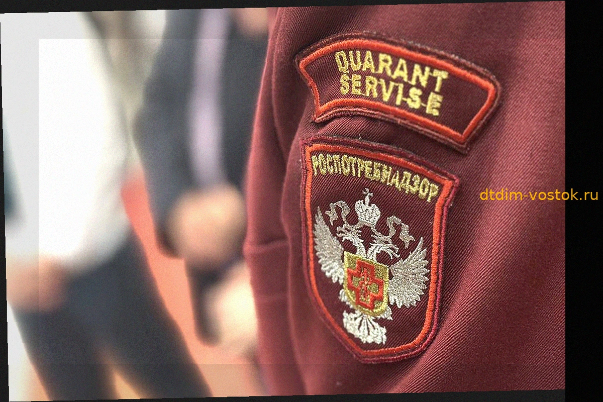 Летний пик распространения хантавируса Андес: данные Роспотребнадзора