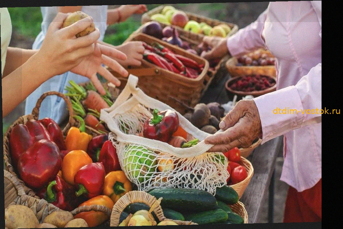 Продажа урожая с огорода: юридические нюансы и возможные штрафы