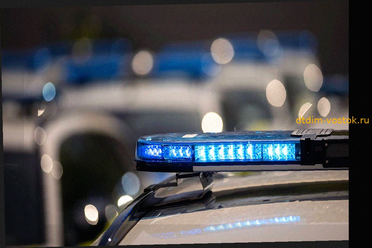 Расчлененное тело мужчины в пяти пакетах обнаружили в Ленинградской области