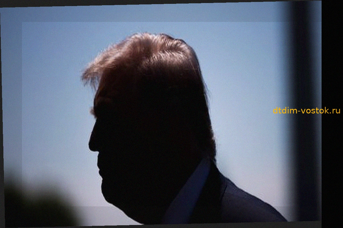 Новые пошлины Трампа на авто из ЕС: критика и предупреждения экономистов