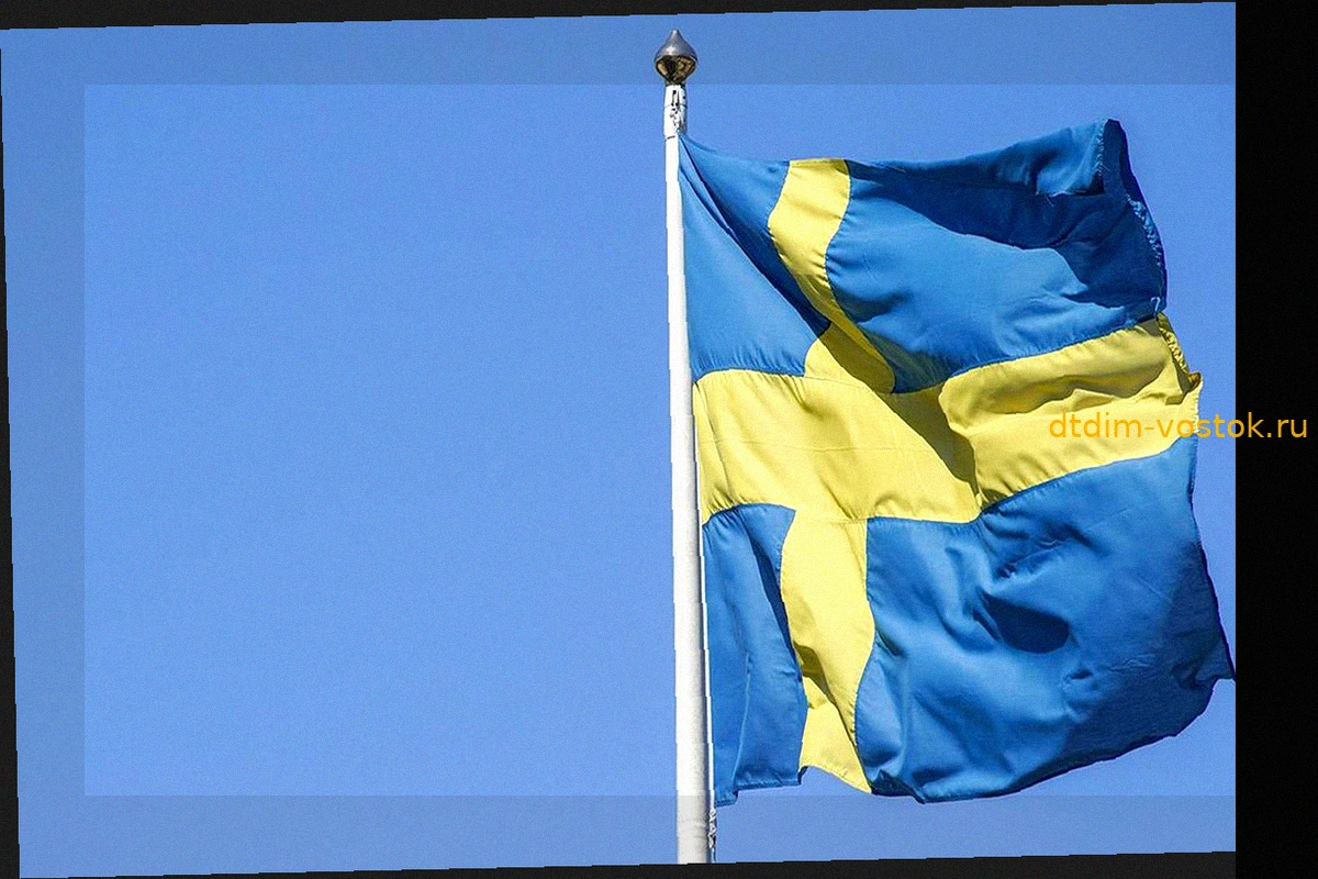 Мема: Швеция может вступить в войну с РФ из-за поставок истребителей Украине